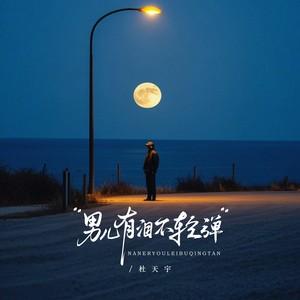 男儿有泪不轻弹封面
