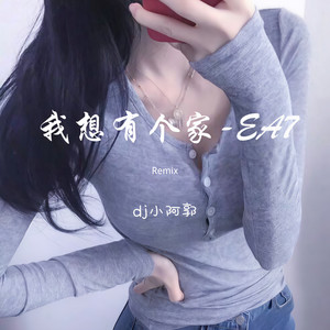 我想有个家-车载舞曲