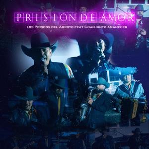 Prisión De Amor (feat. Conjunto Amanecer) (En vivo)