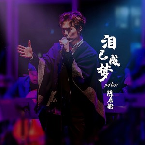 泪已成梦
