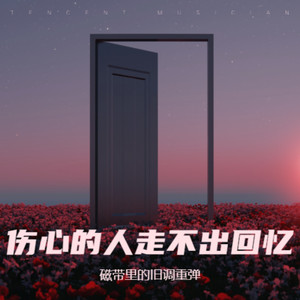 伤心的人走不出回忆 (R&B微醺版)