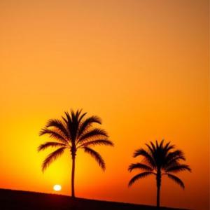 Wavy Guitar Trap beat