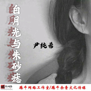 白月光于朱砂痣