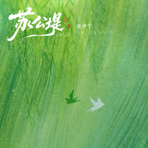 黄伊宁 - 苏公堤·2025