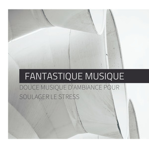 Fantastique musique - Douce musique d'ambiance pour soulager le stress