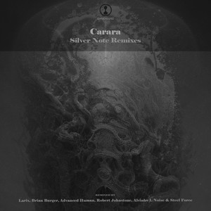 Silver Note (Advanced Human Remix)