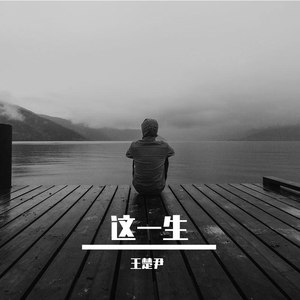 这一生