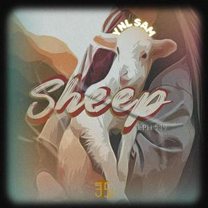 S.H.E.E.P