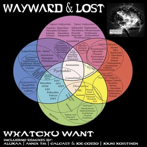 Whatchu Want (Annix TM Remix)