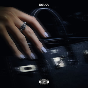 BIRKIN BAG (Explicit)