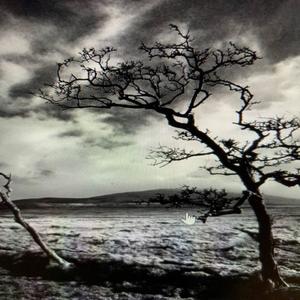 Trap Back(feat. B-Smoove, Dice & Scotty) (Remix|Explicit)