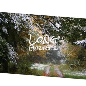 Stupid Decarbonization