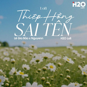 Thiệp Hồng Sai Tên (Lofi)