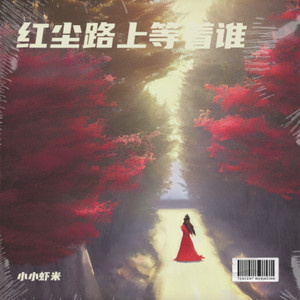 我在红尘路上等着谁  吴亚平版 伴奏 (伴奏)