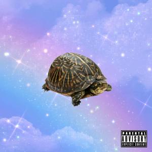 Turtle Milk (Explicit)