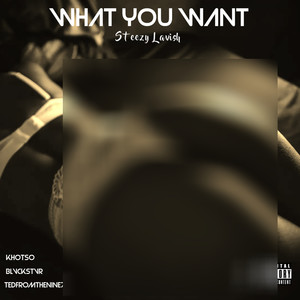 What You Want (Explicit)