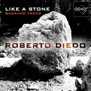 Like a Stone (Backing Track)