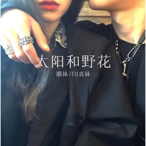 似火年华 (Remix)封面