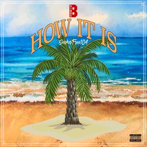 How It Is (feat. SuckerFree104) [Explicit]