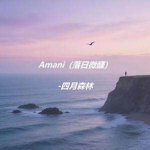 Amani（落日微醺）