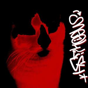 Cats Fight (feat. Papa Pedro)