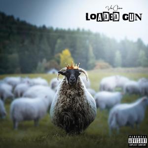 Loaded Gun