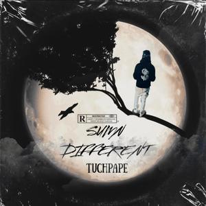 SUM'N DIFFERENT (Explicit)