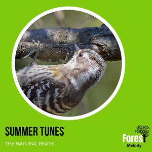 Summer Tunes - The Natural Beats