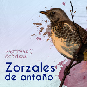 Por Donde Anadrá