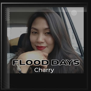 Flood Days (2026 Remastered Version)