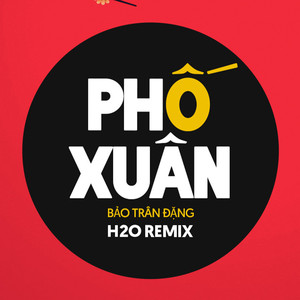 Phố Xuân (Remix EDM)