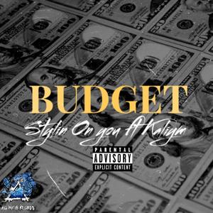 BUDGET (Explicit)