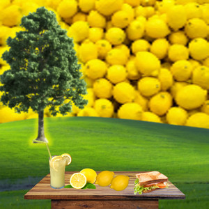 The Porous Lemon Mind (Explicit)