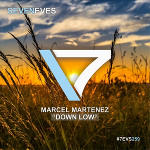 Down Low (Original Mix)
