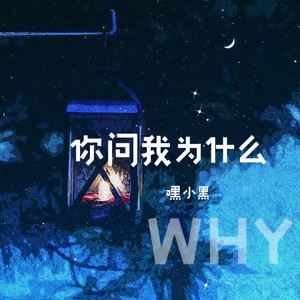 你问我为什么