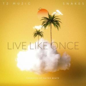 Live Like Once (feat. Snakes) [Explicit]