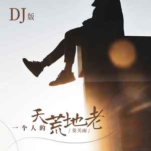 一个人的天荒地老 (DJ版)