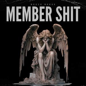 Member **** (Explicit)