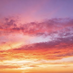 The Cure（伤痕是王的勋章）-DJ大鱼