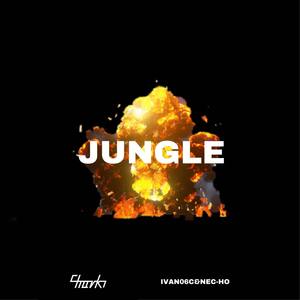 Nec_Ho-Jungle (5HARK Remix|Ivan06c / Nec_Ho / 5HARK remix)