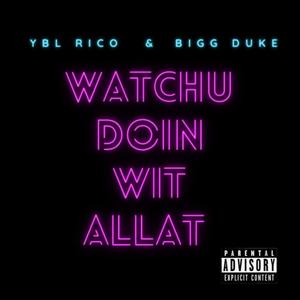 Watchu Doin Wit Allat (feat. Bigg Duke) [Explicit]