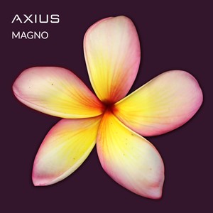 Mientras Lo Vuelvo a Intentar (Acústico)