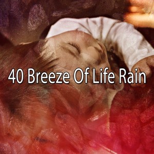 40 Breeze of Life Rain