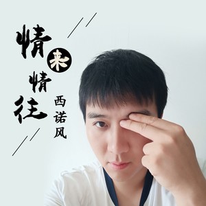 情来情往 (伴奏)