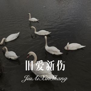 晴天霹雳你绝情的放手 (Remix)