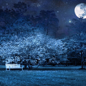 My heart will go on (翻唱版)