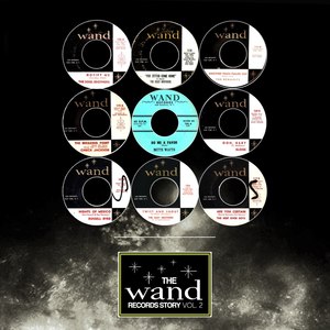 The Wand Records Story Vol 2