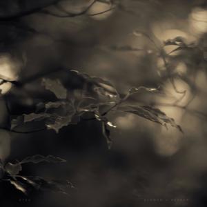 Selcouth (Slowed + Reverb)