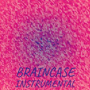 Braincase Instrumental