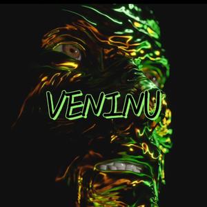 VENINU (feat. RXBBIE) (Explicit)